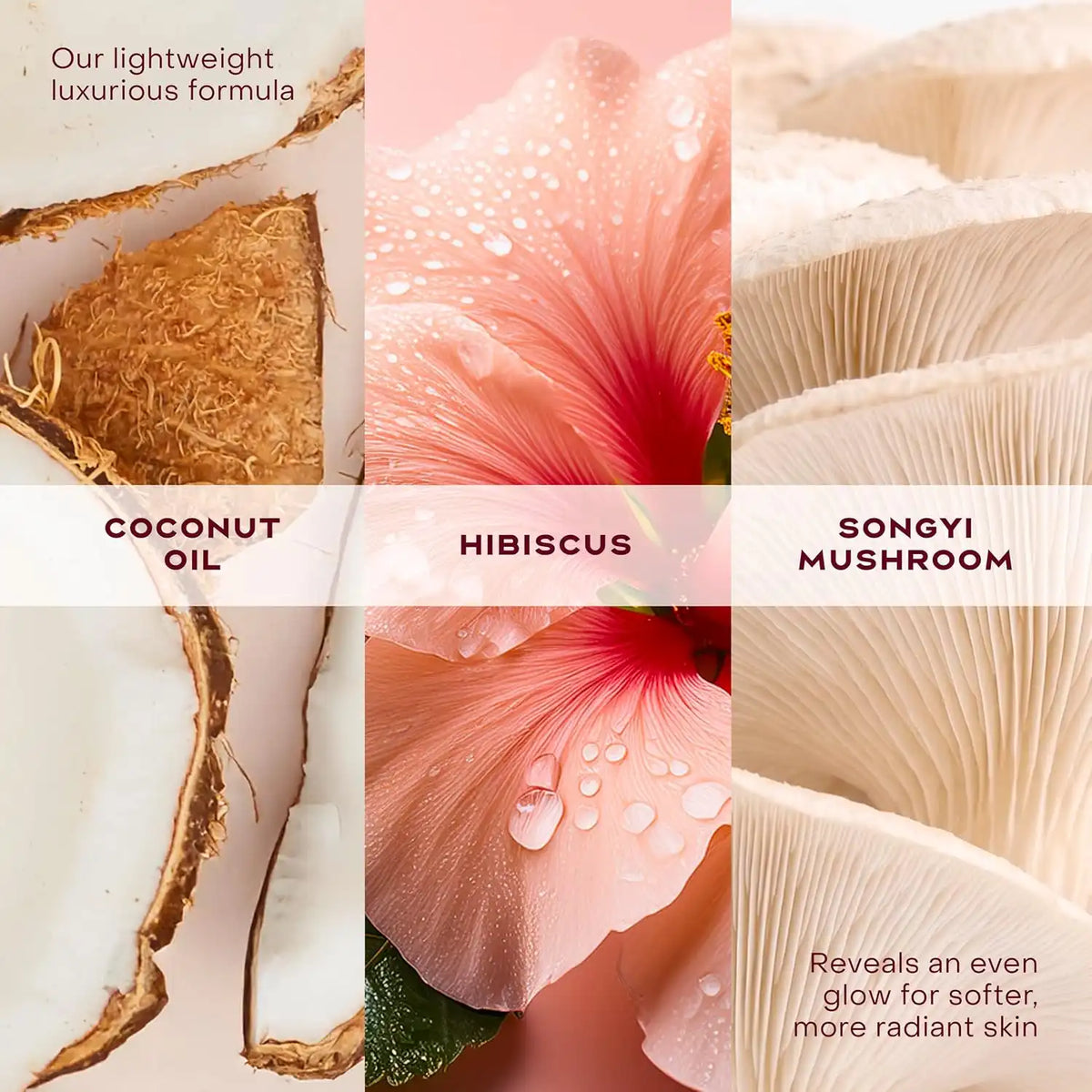 Shea Moisture Coconut & Hibiscus Illuminating Body Oil 6.7oz